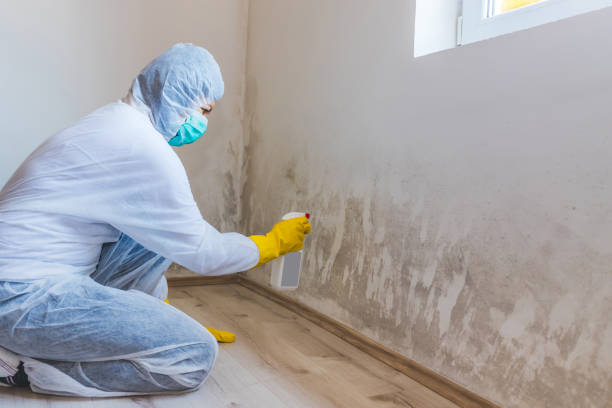 Bathroom Mold Removal assessment in Lincoln Park bathroom
